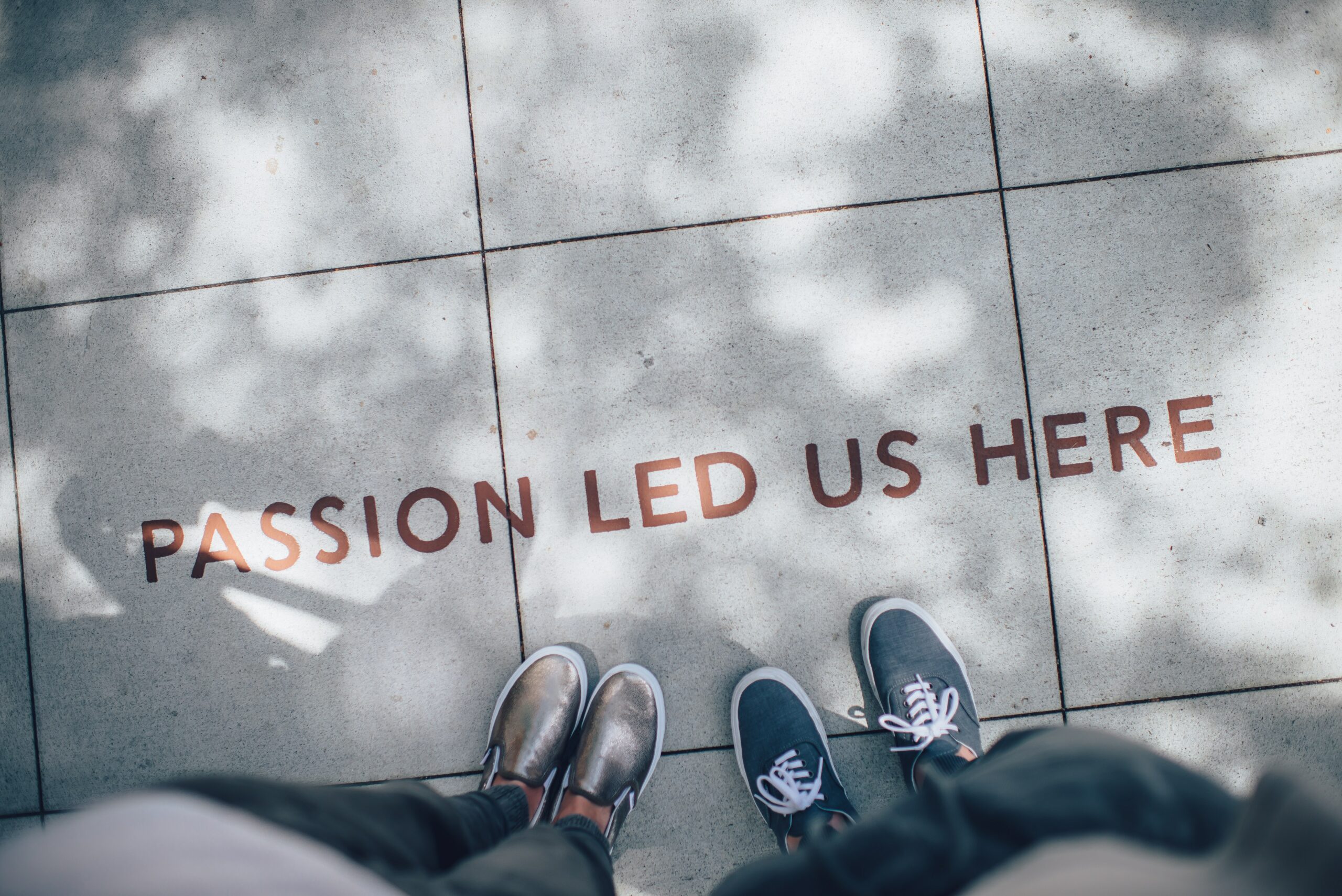 'What is the Kidney Patient and Donor Alliance of Canada?